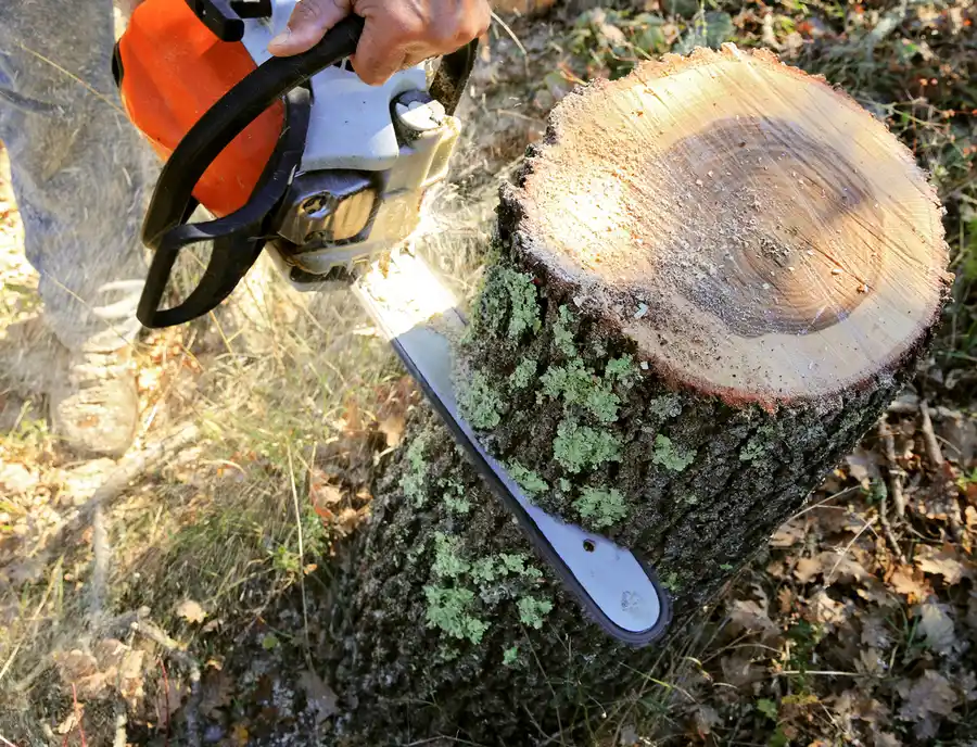 Local Tree Cutting Columbus, OH