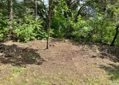 Reliable Tree Company 10