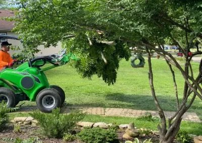 Reliable Tree Company 13