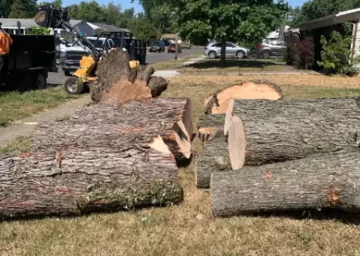 Reliable Tree Company 14