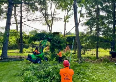 Reliable Tree Company 19