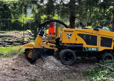 Reliable Tree Company