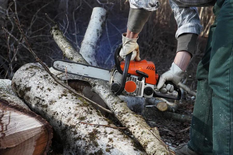 Top-rated Tree Cutting Columbus, OH