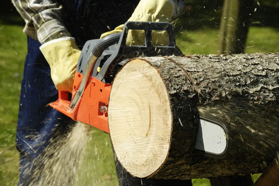 Tree Cutting Techniques That Preserve Your Landscape Design Columbus, OH Tree Cutting Techniques That Preserve Your Landscape Design Columbus, OH