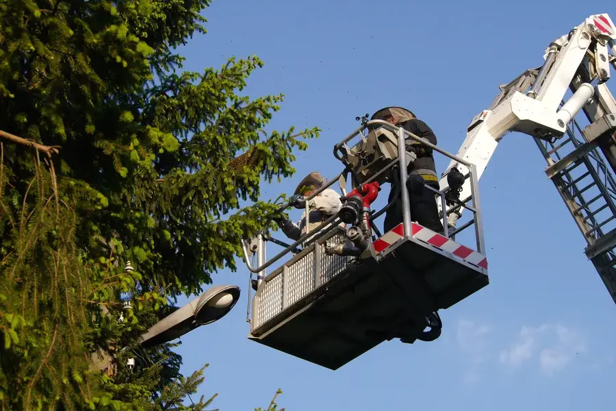Tree Trimming To Prevent Storm Related Damage in Columbus, OH Tree Trimming To Prevent Storm Related Damage in Columbus, OH