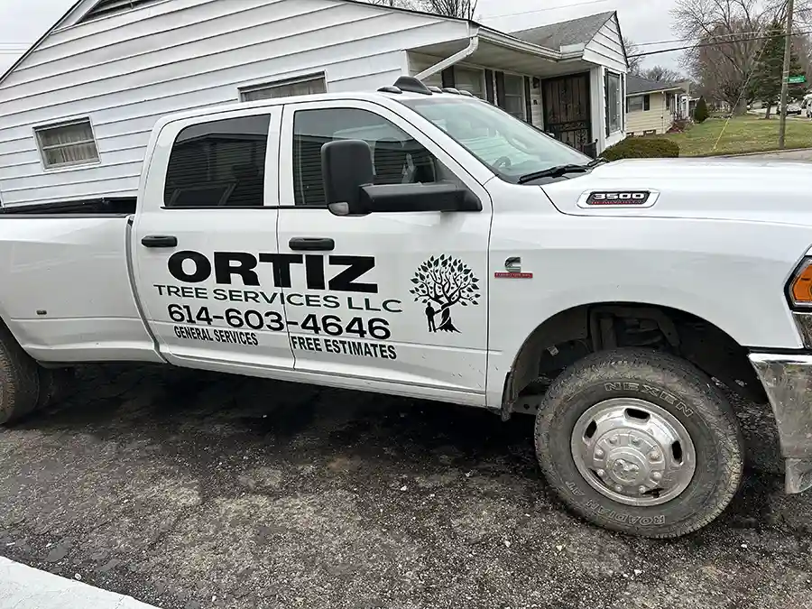 Tree expert serving Columbus, OH